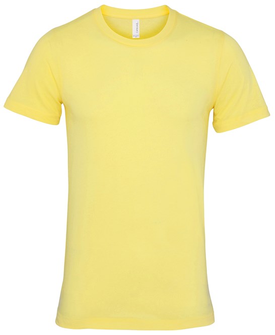 PBO Pretreated Bella Canvas 3001 T-shirt